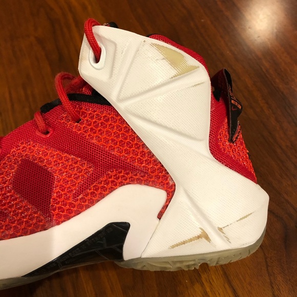 Nike LeBron 12 “Heart of A Lion” shoe - Picture 6 of 8